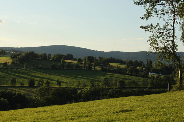 zomer berglandschap met weide en bos, groene natuur achtergrond - Foto, afbeelding