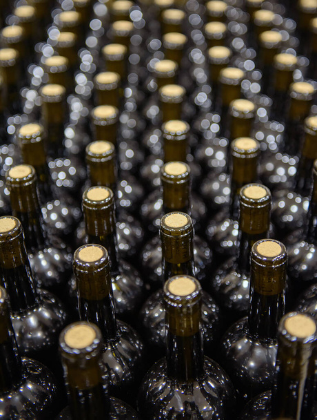 Soft focused wine bottles vertical background - Photo, Image