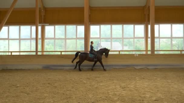 SLOW MOTION: Rider practices cantering with her gelding during flatwork practice - Filmati, video
