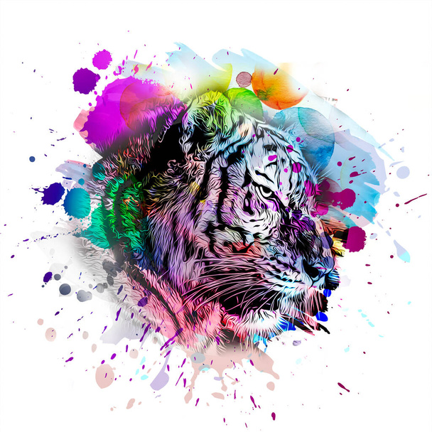 Tiger pää luova abstrakti elementti valkoisella taustalla - Valokuva, kuva