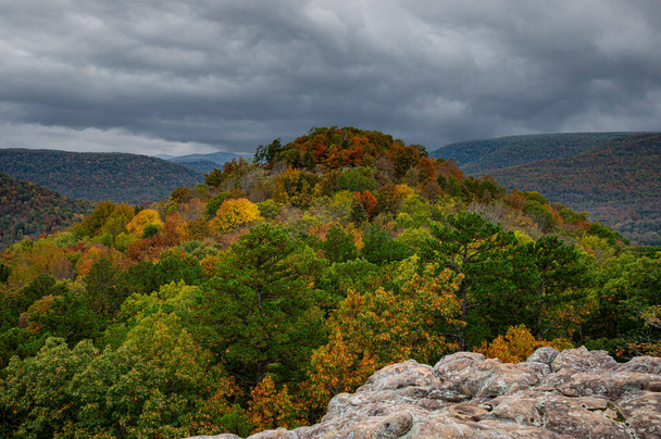 A beautiful landscape of a fall forest on a mountain on a cloudy day - Foto, immagini