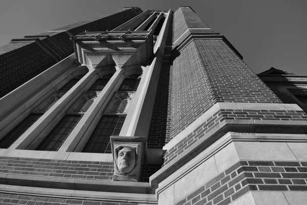 A grayscale low angle shot of the building facade. - Photo, image