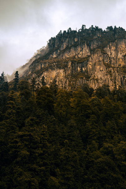 A vertical shot of the forest with the mountain in the background. Los Dinamos, Mexico City. - Fotó, kép