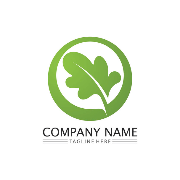 LEAF AND NATURE TREE LOGO FOR BUSINESS VECTOR GREEN PLANT ECOLOGY DESIGN ICON - Vector, Image