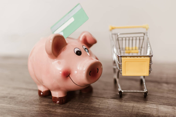 Saving on online shopping, collecting points a credit card on a piggy bank. Shopping cart, credit card and piggy bank. - Fotoğraf, Görsel