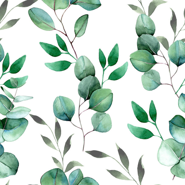 bezešvé akvarel vzor s listy eukalyptu. jemný tisk, archivní vzor. zelené eukalyptové listy na bílém pozadí - Fotografie, Obrázek