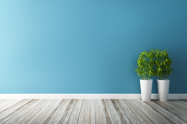 parcela de flor blanca y el interior de la pared azul
 - Foto, imagen