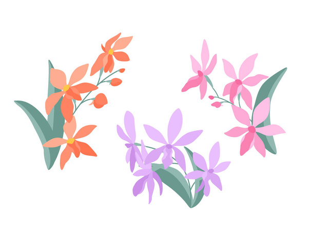 Brins décoratifs de fleurs d'orchidées (Darwinara) sur fond blanc, illustration plate. Un ensemble de petits bouquets simples et délicats pour votre design. Illustration vectorielle dessin animé plat. - Vecteur, image