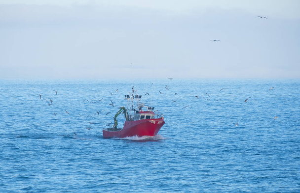 Fishing boat surrounded by seagulls in the sea, Euskadi - Photo, image