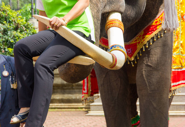 Asijská žena sedí na slonovinové kosti slona v Thajsku. - Fotografie, Obrázek