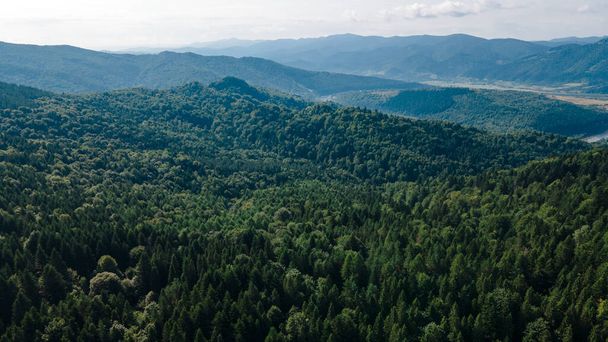 Floresta de montanhas de uma paisagem de altura - Foto, Imagem