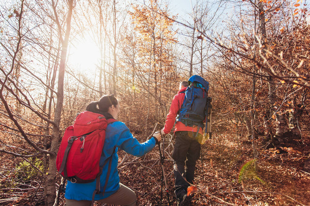Подружжя мандрівників ходить по природі, ходить і розмовляє лісовою стежкою разом
 - Фото, зображення