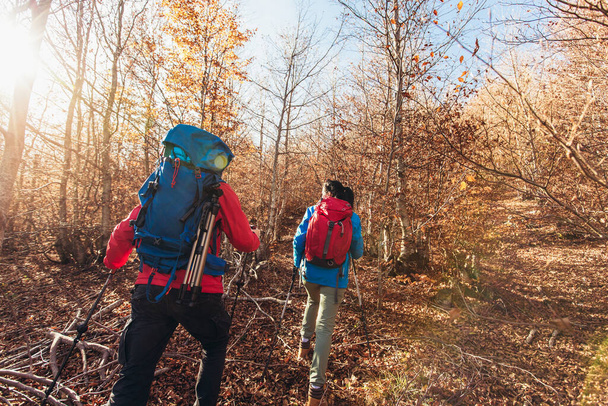 Paar reizigers wandelen in de natuur, wandelen en praten langs bospad samen - Foto, afbeelding