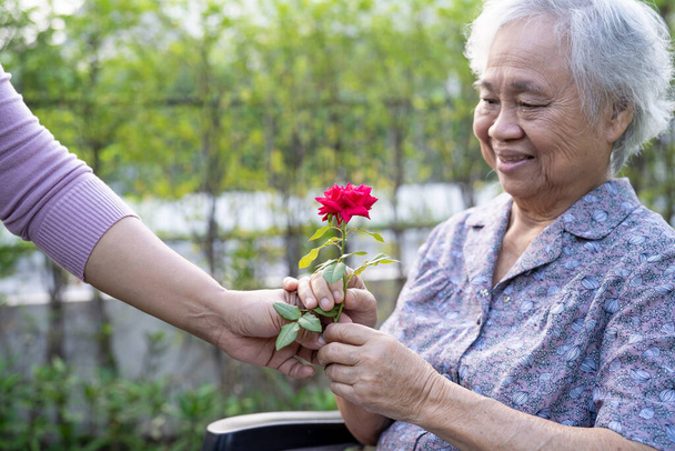 Cuidador filha abraçar e ajudar asiático seniores ou idosos senhora mulher segurando vermelho rosa na cadeira de rodas no parque. - Foto, Imagem