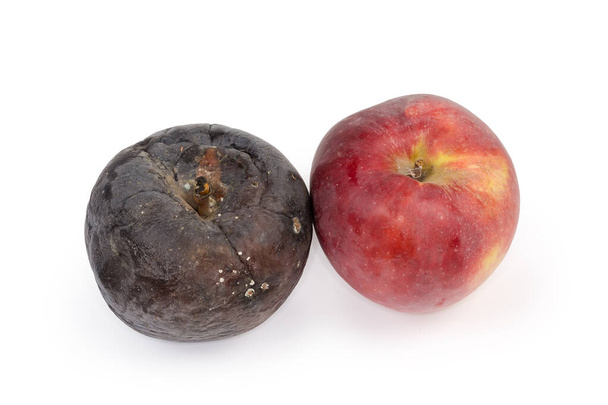 Buena manzana roja comestible y manzana negra podrida completamente estropeada sobre un fondo blanco - Foto, Imagen