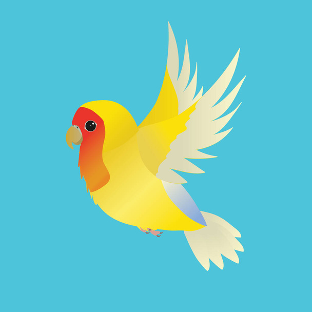 Flying yellow peach faced lovebird. The background is blue. - Vector, Image