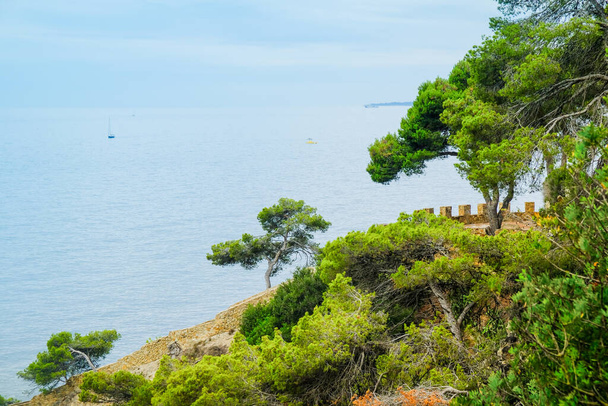 View of the Mediterranean Sea, pine trees and a walking path in cloudy weather in Lloret de Mar, Costa Brava. - Fotoğraf, Görsel