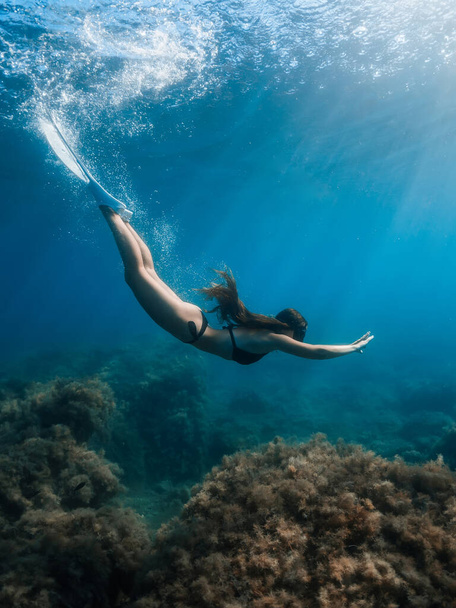 Gratis duiker vrouw met vinnen duiken onder water in kristalheldere oceaan. - Foto, afbeelding