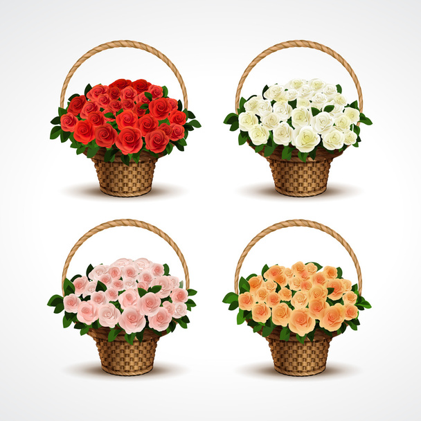 Set Baskets of Roses Isolated - Vector, Image