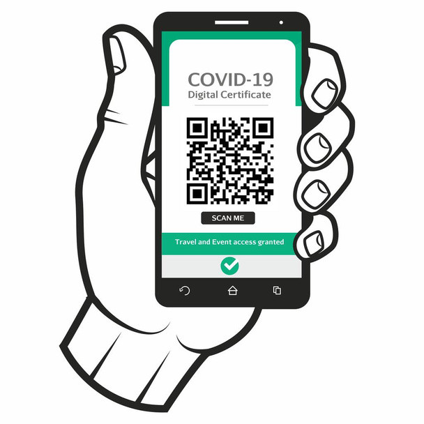 Mão segurando o Certificado Digital Internacional de vacina para Covid-19 em um celular, a fim de viajar entre países e acessar eventos culturais. - Vetor, Imagem