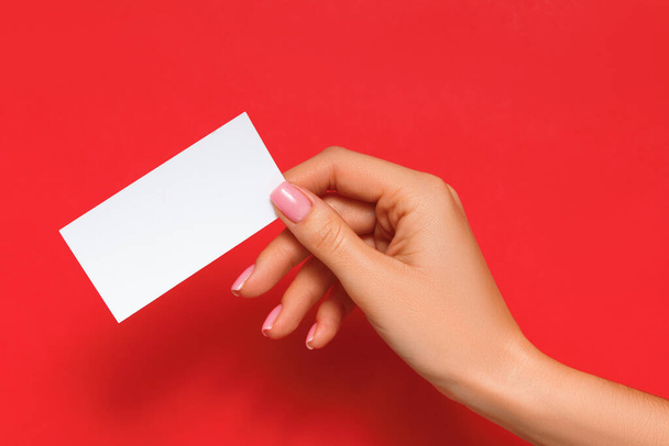 Female hand holding blank card on isolated red background - Фото, изображение