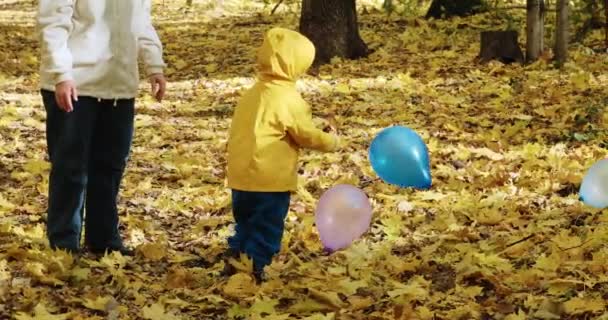 Bambino piccolo sta giocando con sua madre in palloncini gonfiabili. Natura autunnale - Filmati, video