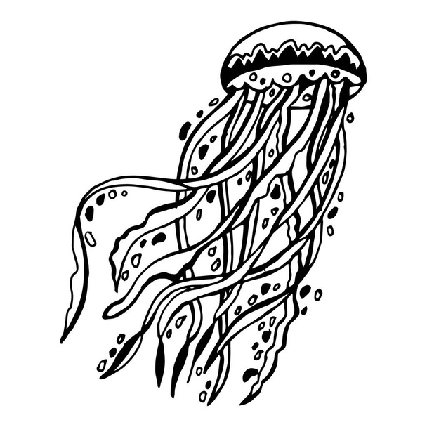 Векторні ілюстрації, мальовані вручну стилізовані морські медузи, ескіз, орнамент. Дизайн для розмальовки, антистрес, друк, татуювання
. - Вектор, зображення