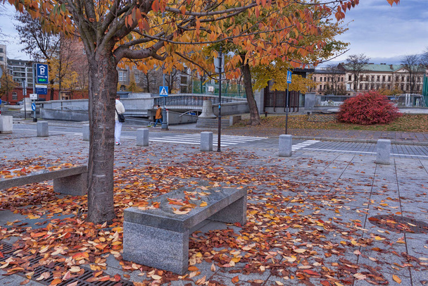 紅葉に覆われた石のベンチ。ナポレオン軍の広場クラクフ - 写真・画像