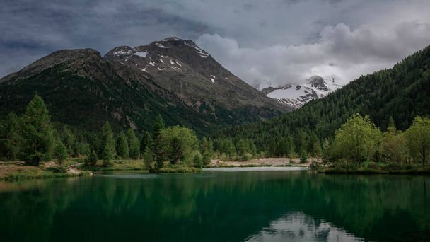Mountain lake with tree on island in front of snow-covered mountain peaks of the Morteratsch Glacier in the Engadin in the Swiss Alps, clouds in sky - Photo, Image