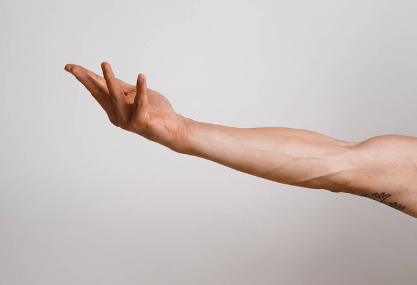 Menselijke arm tegen grijze achtergrond. Lege mannelijke hand. Sterke hand wijzend en poserend. - Foto, afbeelding