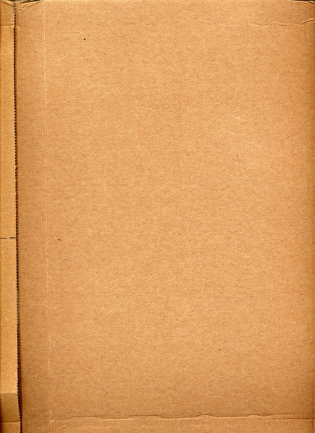 Blank sheet of brown corrugated cardboard useful as a background - Photo, Image