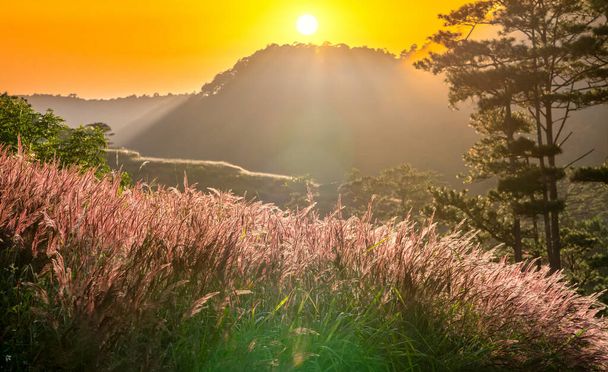 冬の最初の日にベトナムのダラットの森林高原の丘の中腹に日没の風景。人生の困難の後に魂をリラックスするための平和的な場所 - 写真・画像