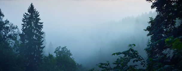 Impresionante vista aérea panorámica del bosque de pinos siempreverdes y el río en una nube de niebla matutina. Paisaje de otoño de hadas. Parque Nacional Gauja, Sigulda, Letonia. Naturaleza, estaciones - Foto, Imagen
