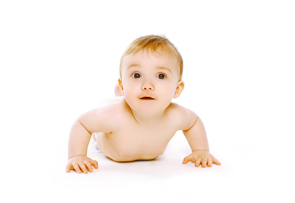baby verkenningen op een witte achtergrond - Foto, afbeelding