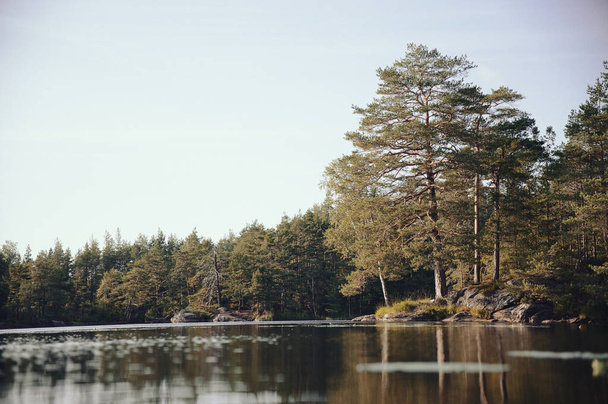 A beautiful calm lake surrounded by trees during daylight - 写真・画像