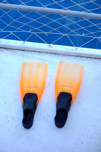 ボート上のオレンジ色の足ひれをドックします。 - 写真・画像