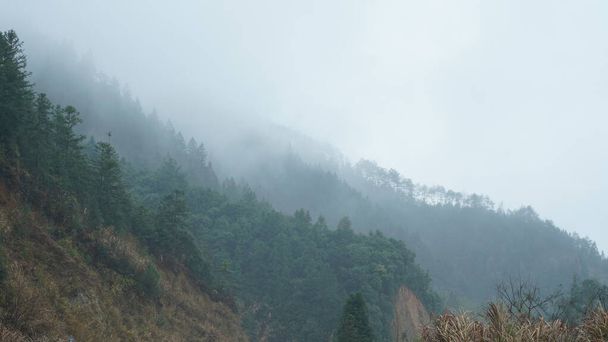 A bela vista montanhas com a floresta verde e nuvens subindo a partir deles no dia chuvoso no campo do sul da China - Foto, Imagem