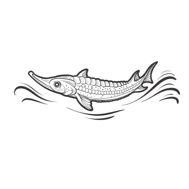 logo, stylized pike fish in black color, isolated object on white background, vector illustration, eps - Vektor, Bild