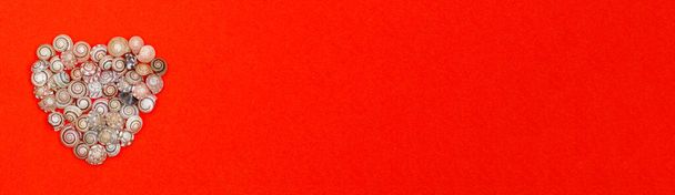 Szíve kagylók egy piros papír háttér banner, a koncepció Valentin-nap, tenger, nyaralás, nyaralás. Top view lapos fektetés, másolás tér - Fotó, kép