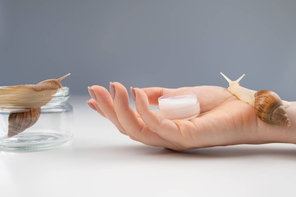 Close-up of a womans hand with a small jar of moisturizer and a snail crawling on the skin. The use of snails in cosmetology. - Foto, Imagem