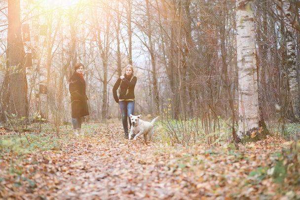 Women on a walk in the autumn park - Foto, Bild
