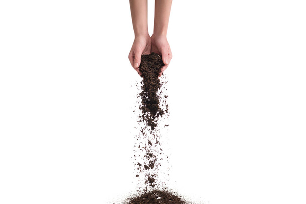 Brown soil in woman hands isolated on white background. The soil falls out of hand. - Photo, Image