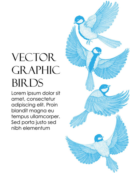 Vector illustration of a card template with graphic linear birds tits - Vector, Imagen