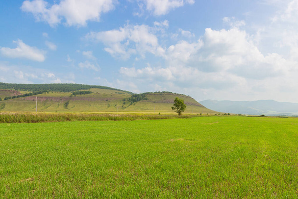 Letní krajina zelených stepí a kopců Chakassie pod modrou oblohou za slunečného dne. Vynikající pastviny pro hospodářská zvířata a zemědělství - Fotografie, Obrázek