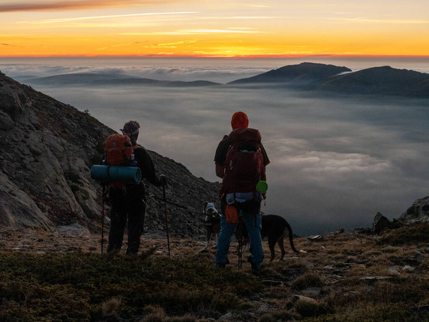 A two Caucasian hikers male standing next to a dog and  on the top of at mountain at sunset - Фото, изображение
