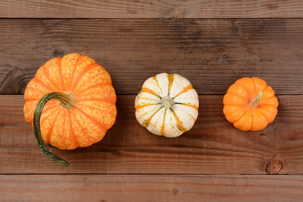 Different Decorative Pumpkins - Fotografie, Obrázek