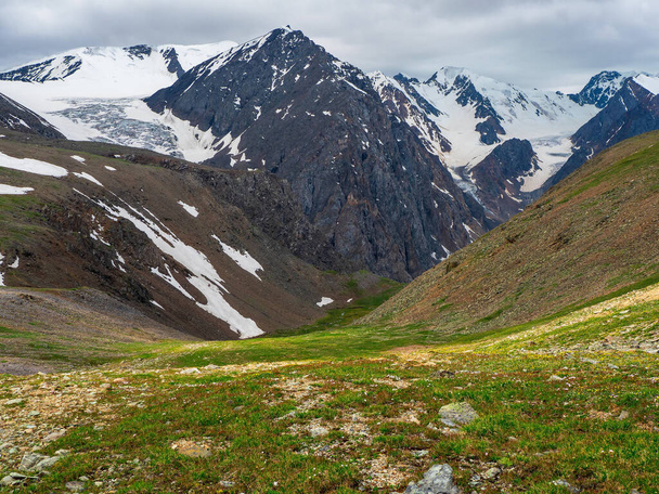 Зелений гірський схил, вид на глибоку гірську долину з приголомшливими сніговими піками на задньому плані
. - Фото, зображення