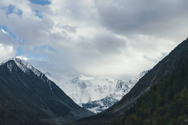 Atmospheric landscape with great snow mountains under cloudy sky. Dramatic scenery with trees on hill among dark rocks with view to high snowy mountain wall with glacier in valley in overcast weather. - Fotó, kép