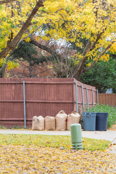 Žluté padající listí na zadní uličku s řadou papírových sáčků na trávník a popelnic v obytném domě nedaleko Dallasu v Texasu v USA. Jasné podzimní listí jasné podzimní barvy na asfaltové cestě podél dřevěného plotu - Fotografie, Obrázek