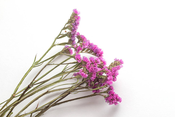 Ein Zweig aus rosa kleinen Blüten auf weißem Hintergrund. Bild von getrockneten Blumen. Romantische Blumen. Perezia limonium. Kermek. Statik. - Foto, Bild